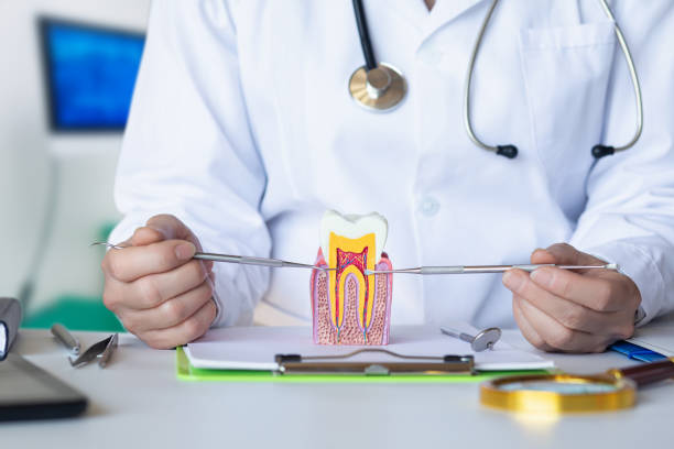 Best Emergency Dental Care for Abscessed Tooth in Hereford, TX